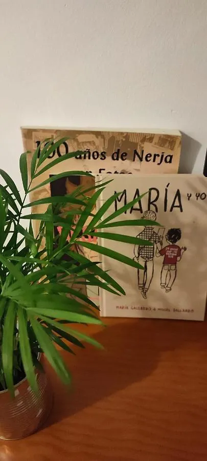 公寓 Nerja Apartamento Centro 西班牙